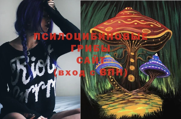 ECSTASY Армянск