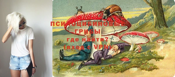 ECSTASY Армянск