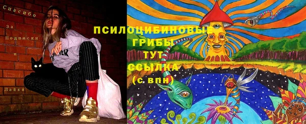ПСИЛОЦИБИНОВЫЕ ГРИБЫ Балахна